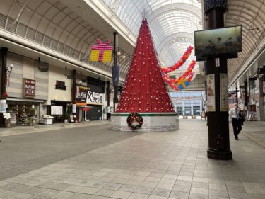 竹町ドーム広場に大きなクリスマスツリーが