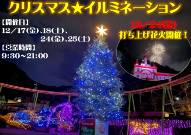 21年のクリスマスファンタジアは開催しないみたい 代わりに花火が上がるよ Log Oita