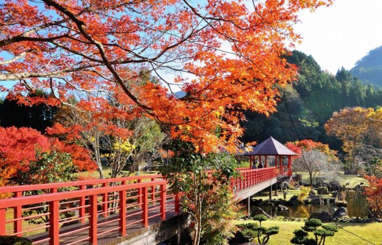 大分県の人気紅葉スポット5選 Log Oita