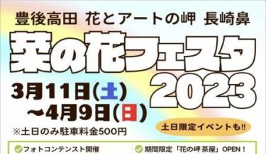 豊後高田市の長崎鼻で「菜の花フェスタ2023」が開催中です