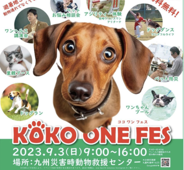 「KOKO ONE FES ココワンフェス」が開催されます