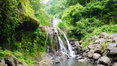 【井ノ尻滝】日本滝名鑑4000で紹介される堰堤の下にかかる竹田市の直瀑