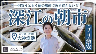 魚が激安で買える朝市に行ってみた【深江の朝市】