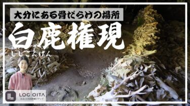 大分にある骨だらけの場所知ってる？【白鹿権現】