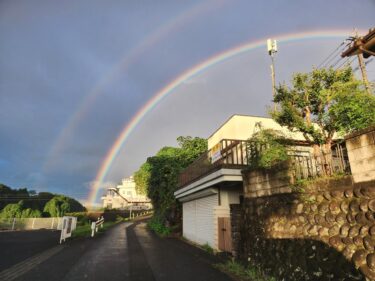 今日大分市に大きな虹がでてた