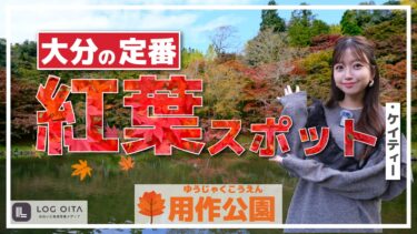 紅葉って見ごろなの？【用作公園】