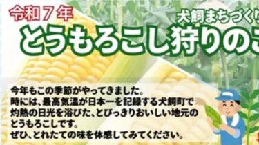 先着100名！犬飼町で『とうもろこし狩り』が開催されます