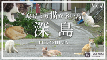 大分にある島民より猫が多い島って知ってる？【深島】
