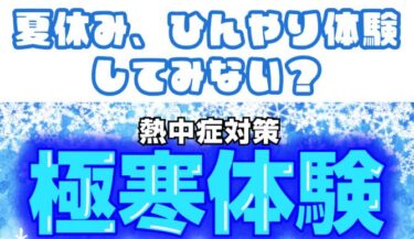 真夏に極寒体験 !? 『冷凍トラックで氷の世界を体感』できます