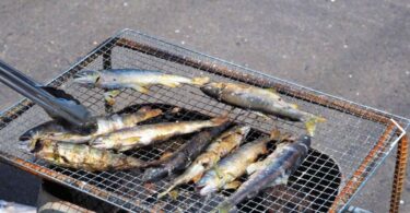 釣って食べて楽しんで‼ 『さいき番匠 鮎のちょん掛け 体験施設』がオープンしています