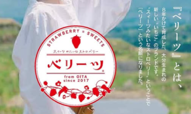 今年もこの季節がやってきた！『10日間限定 ベリーツ企画』が開催されます