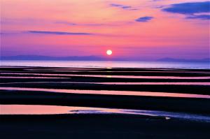 3月9日まで受付中！「恋人の聖地・恋叶(こいかな)ロード」を舞台に『恋叶ロードフォトコンテスト』を開催中です