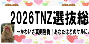 投票受付中『2026 TNZ選抜総選挙～かわいさ真剣勝負！あなたはどのサルにときめく？～』開催中です