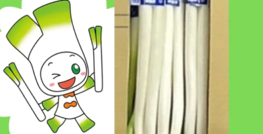 『白ねぎキャラクター名前募集キャンペーン』実施中！ 3/15(日)は『白ねぎ祭り』も！