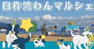 第1回目となる『2026 臼杵湾わんマルシェ』が開催されます
