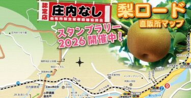 庄内なしの販売開始！【梨ロード スタンプラリー】に参加しよう